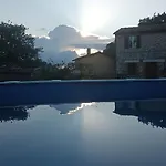Piccola Sorpresa Il Preferito Degli Escursionisti Sul Cammino