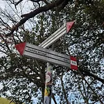 Piccola Sorpresa Il Preferito Degli Escursionisti Sul Cammino