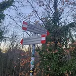 Piccola Sorpresa Il Preferito Degli Escursionisti Sul Cammino ホームステイ Scoppieto