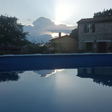 Piccola Sorpresa Il Preferito Degli Escursionisti Sul Cammino