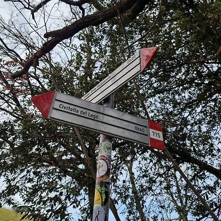 Piccola Sorpresa Il Preferito Degli Escursionisti Sul Cammino