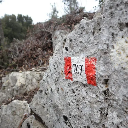 Piccola Sorpresa Il Preferito Degli Escursionisti Sul Cammino Privat bolig *