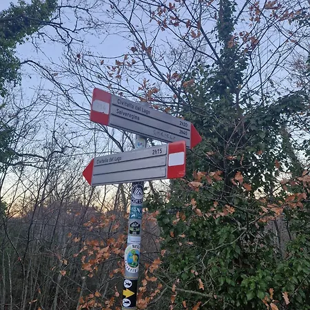 Piccola Sorpresa Il Preferito Degli Escursionisti Sul Cammino Проживание в семье Scoppieto