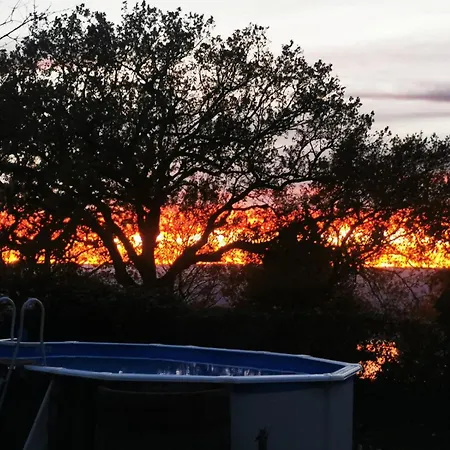 Piccola Sorpresa Il Preferito Degli Escursionisti Sul Cammino * Scoppieto