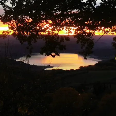 Piccola Sorpresa Il Preferito Degli Escursionisti Sul Cammino * Scoppieto