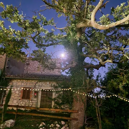 Piccola Sorpresa Il Preferito Degli Escursionisti Sul Cammino * Scoppieto