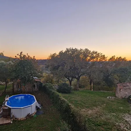 Piccola Sorpresa Il Preferito Degli Escursionisti Sul Cammino * Scoppieto