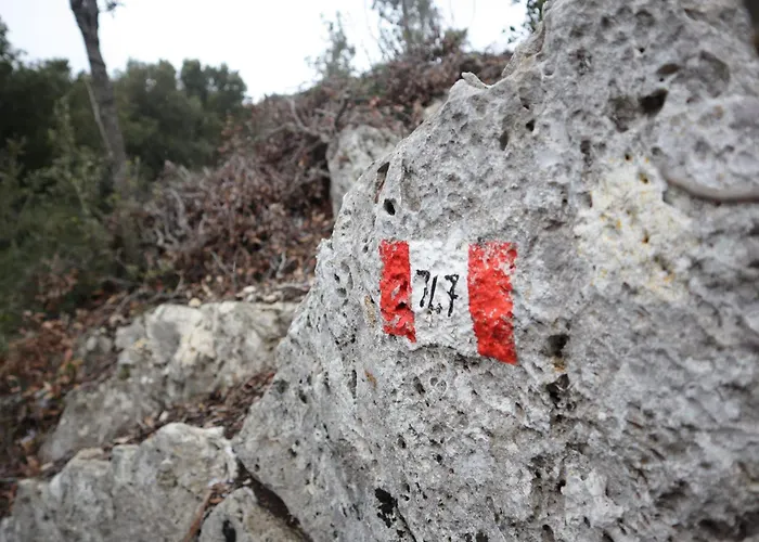 Piccola Sorpresa Il Preferito Degli Escursionisti Sul Cammino Privat bolig *