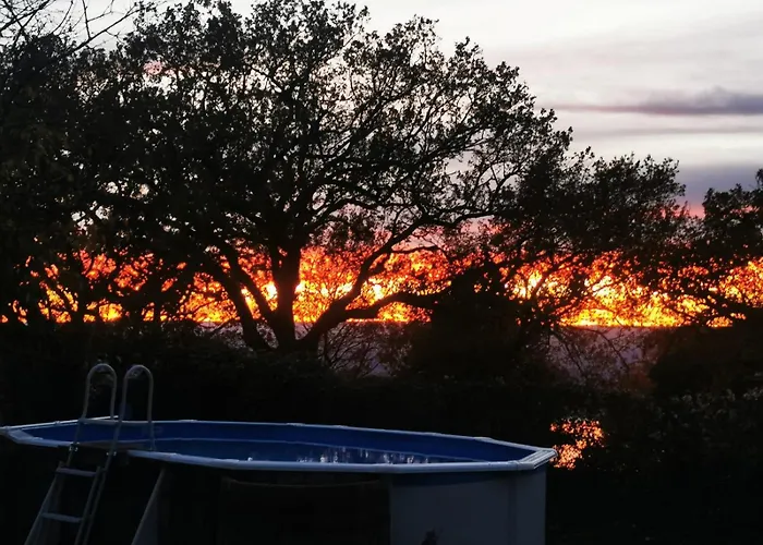 Piccola Sorpresa Il Preferito Degli Escursionisti Sul Cammino * Scoppieto