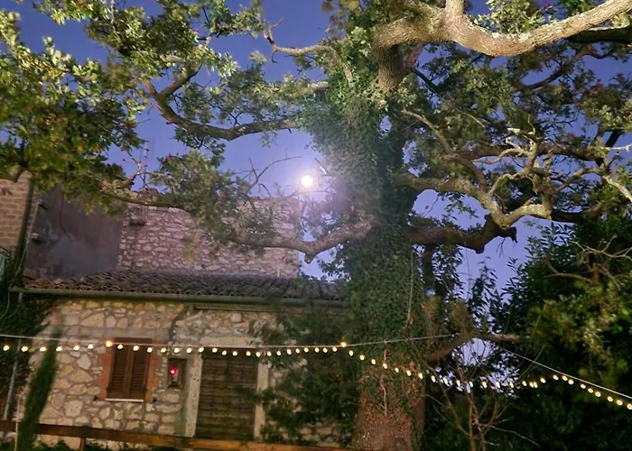 Piccola Sorpresa Il Preferito Degli Escursionisti Sul Cammino * Scoppieto