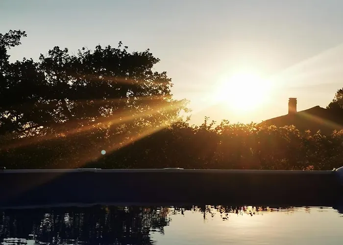 Piccola Sorpresa Il Preferito Degli Escursionisti Sul Cammino Scoppieto