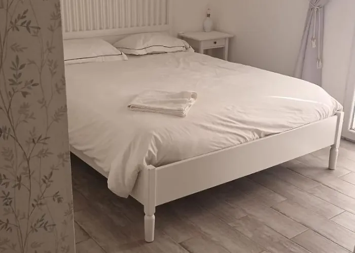 Piccola Sorpresa Il Preferito Degli Escursionisti Sul Cammino